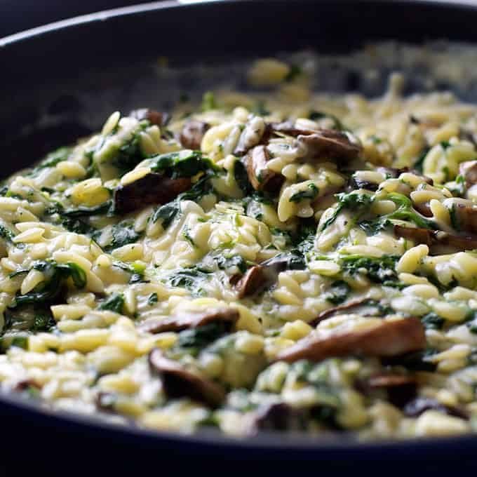 Creamy Mushroom and Spinach Orzo (Risoni) - all made in one pan, so creamy (but no cream!) . A fabulous meat free meal!
