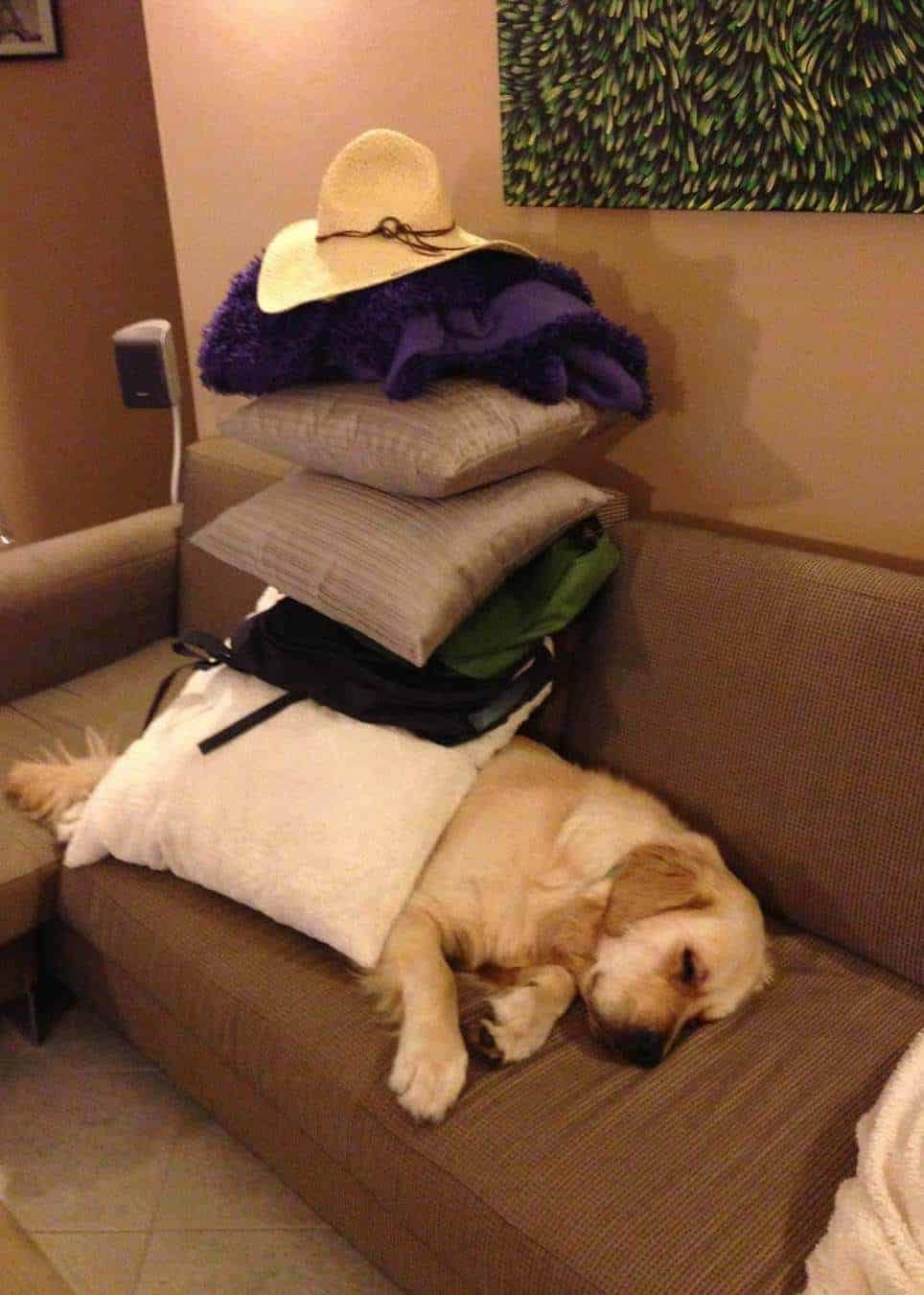 Dozer piled high with cushions