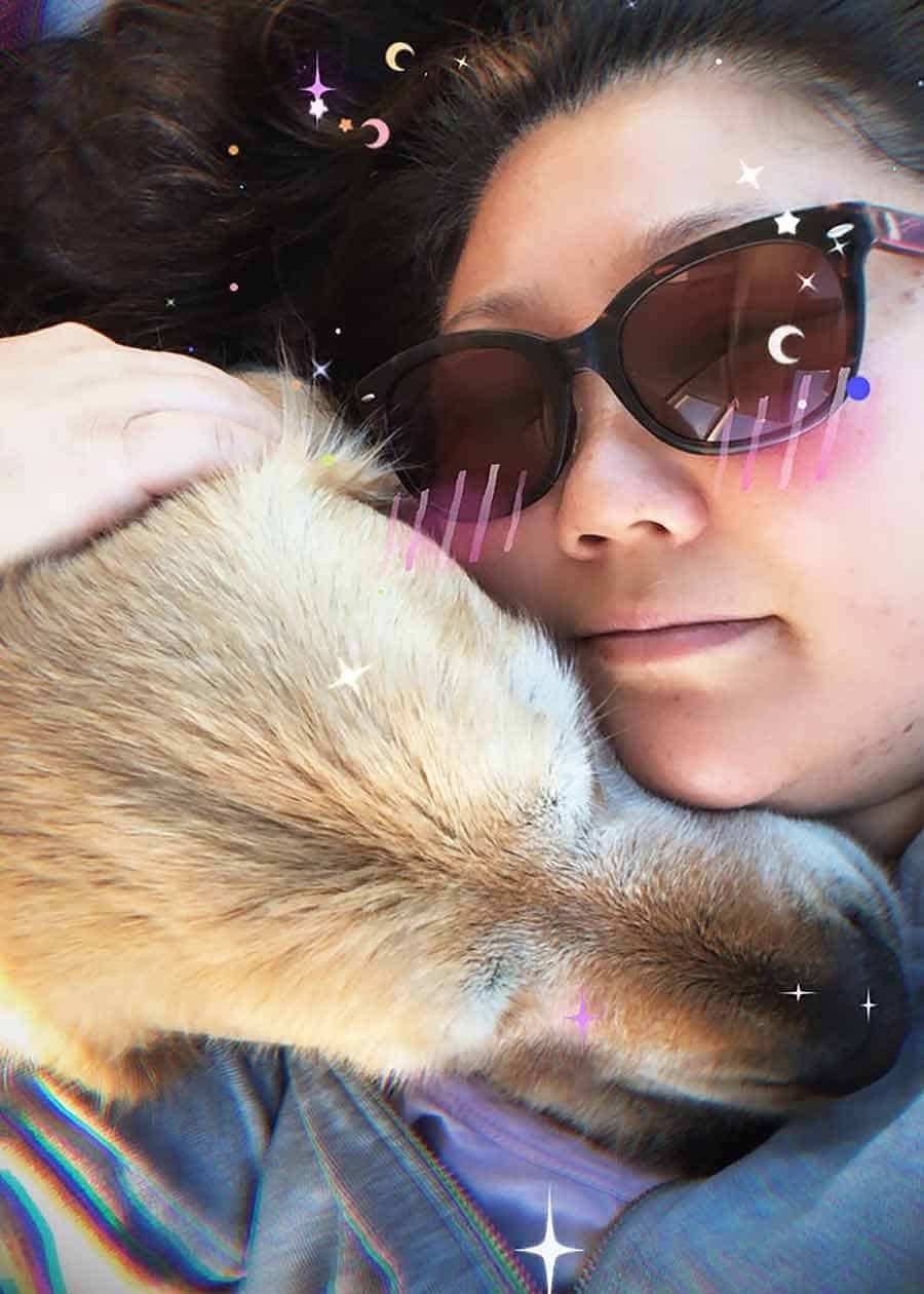 Dozer sleeping on Nagi