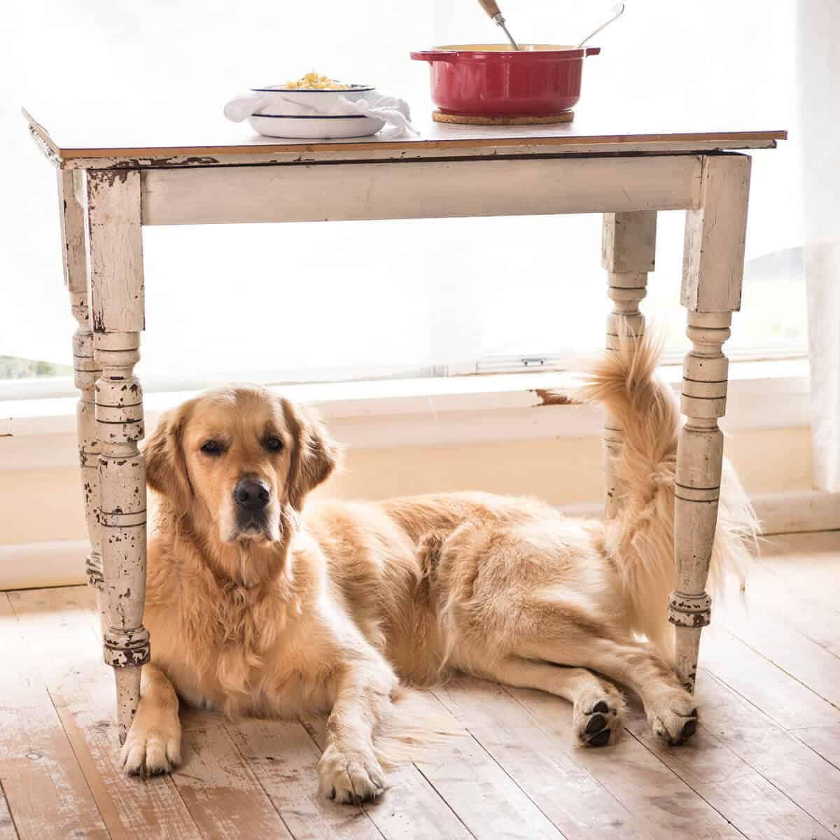 mac-and-cheese-stovetop_-6
