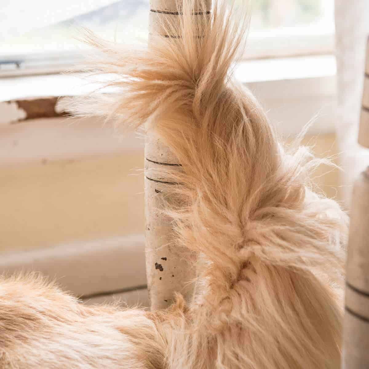 mac-and-cheese-stovetop_-7