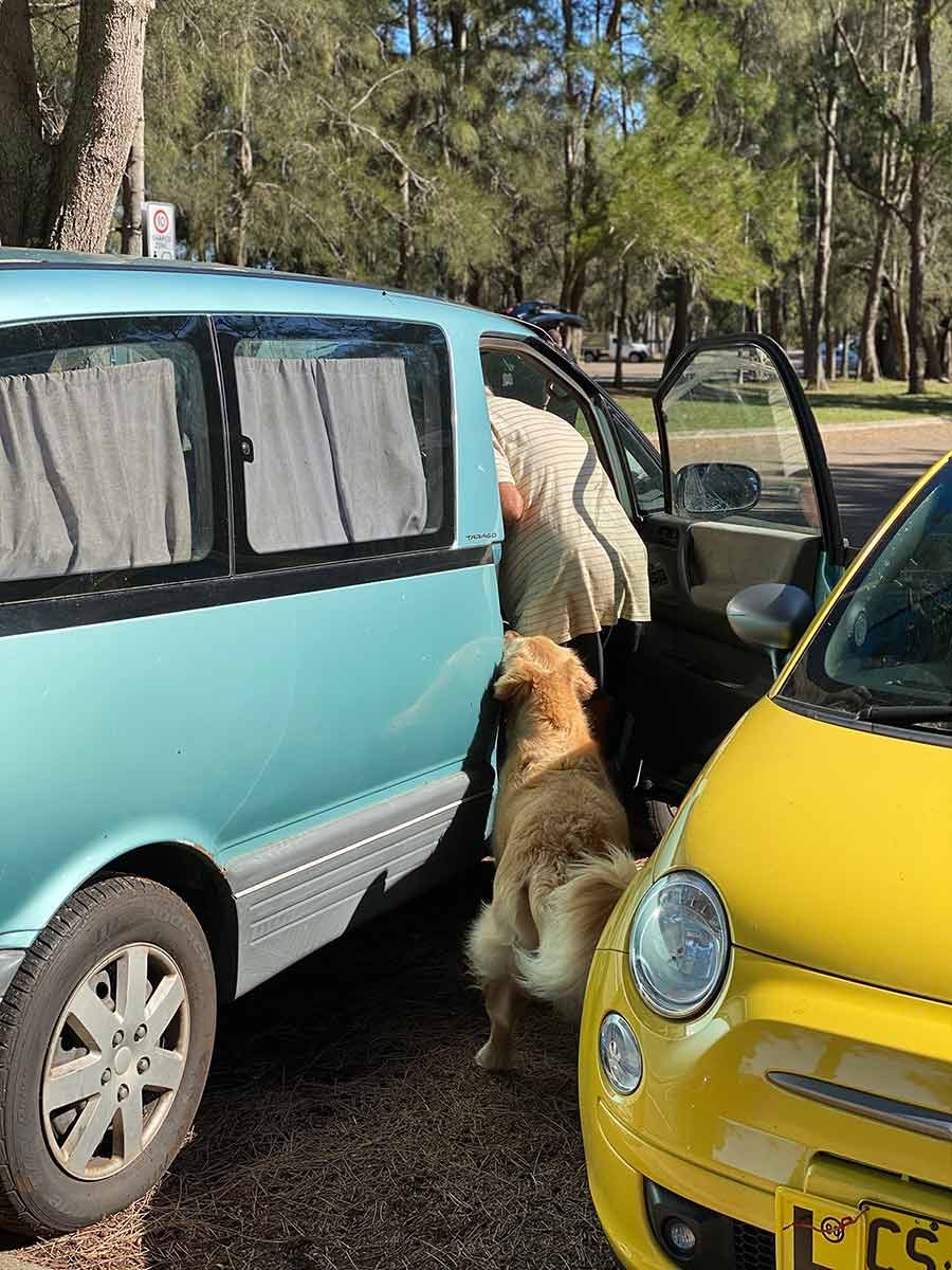 Dozer trailing after Geoff