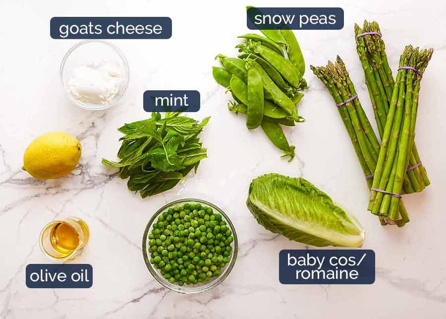 Ingredients in Spring Salad - with asparagus, peas, snow peas, baby cos lettuce (romaine) and goats cheese