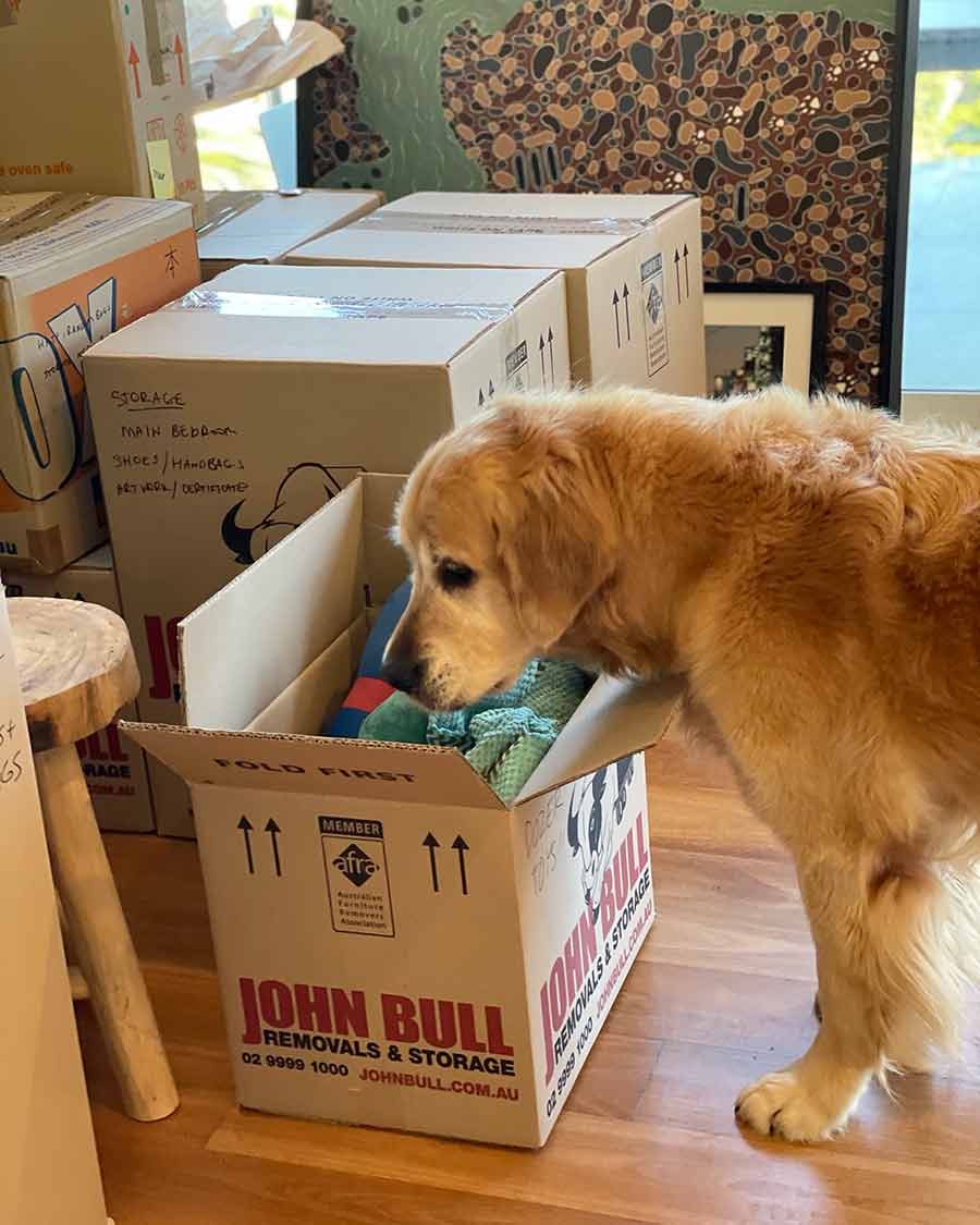 Dozer not helping with move