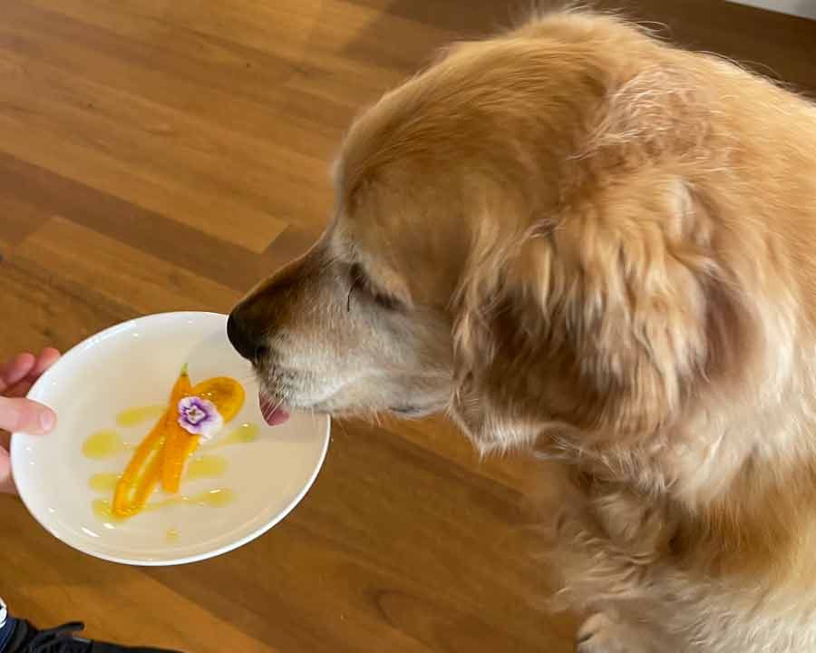 Making of a cookbook Part 3