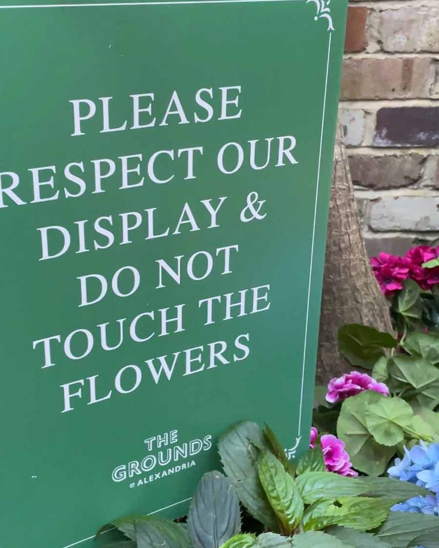 Dozer at Grounds of Alexandria