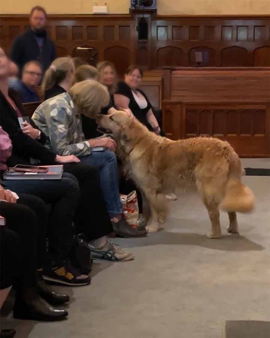 Dozer at Kinokuniya book tour event