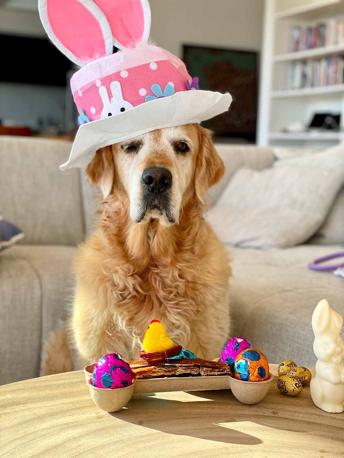 Dozer Easter Hat