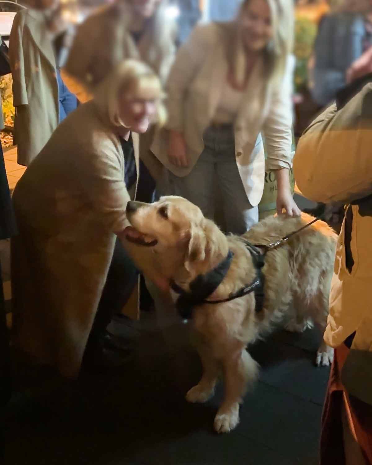 Boronia Kitchen Reader dinner Dozer