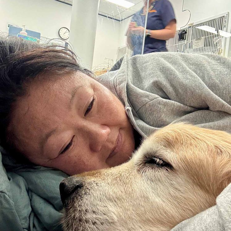 Dozer and Nagi at SASH Ryde - January 2026