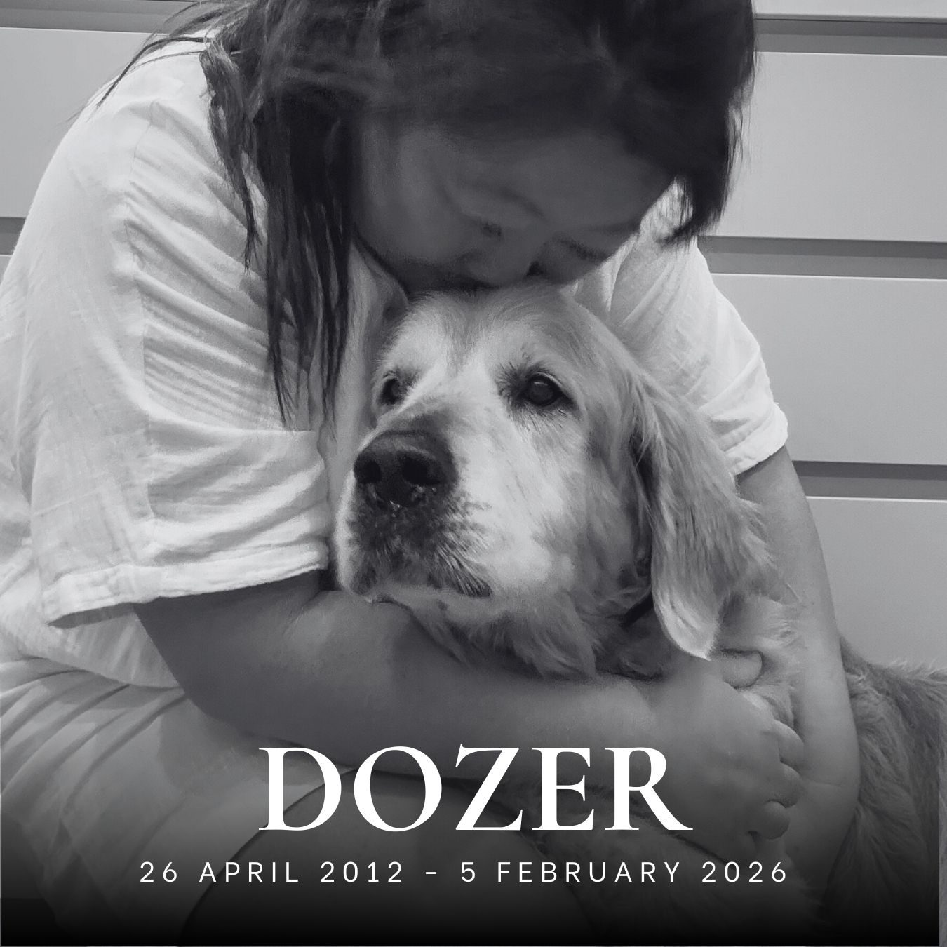 Dozer tribute