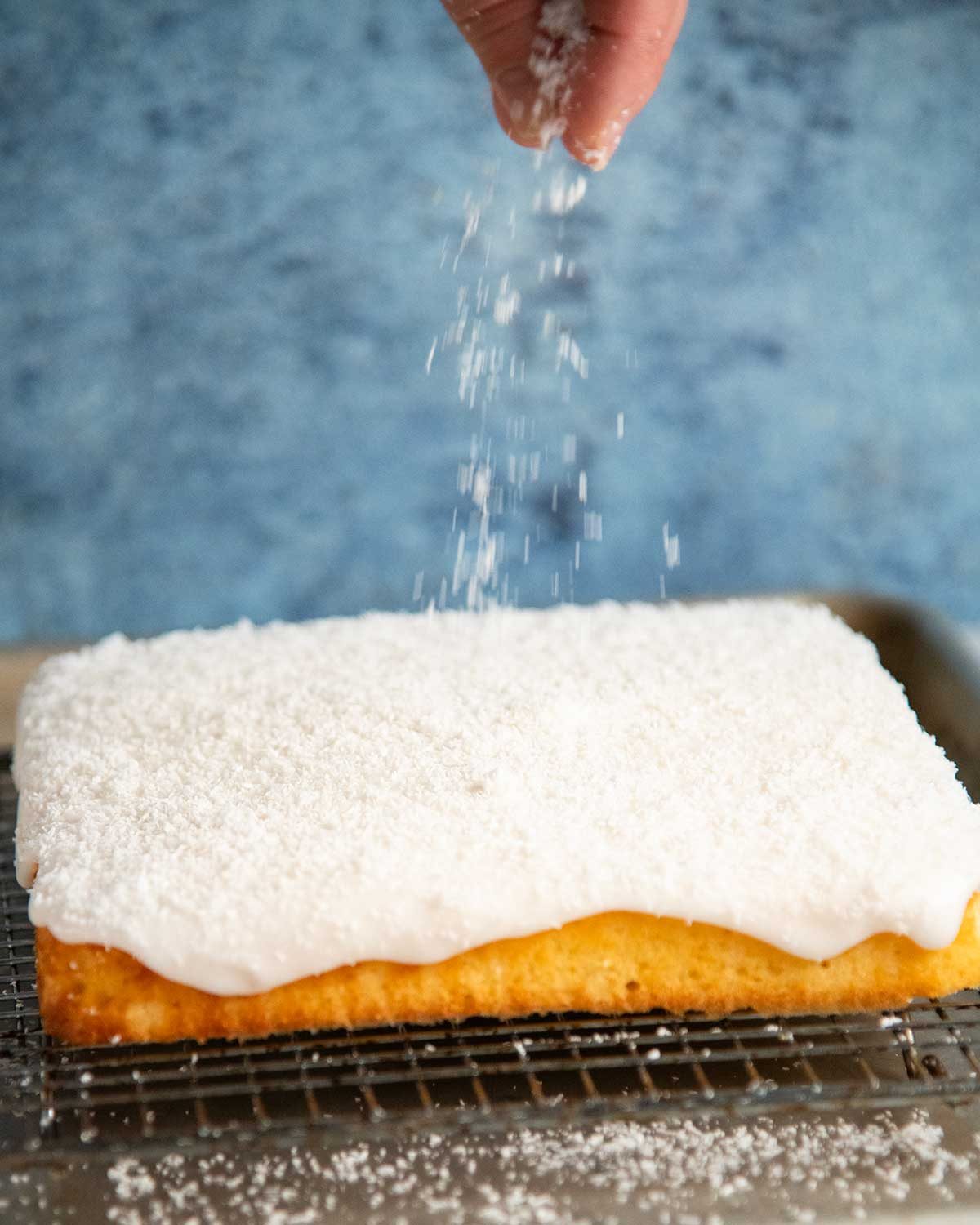 Lemon Coconut Cake Slice